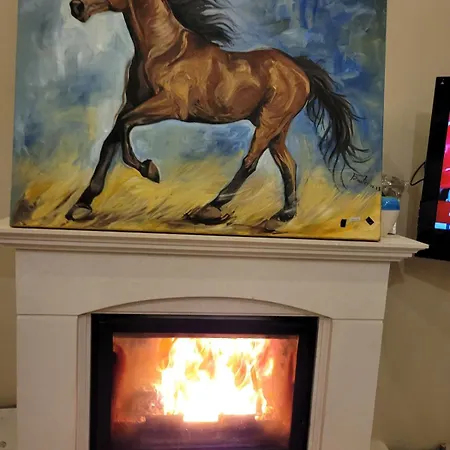 F Celik Villalari فيلة *