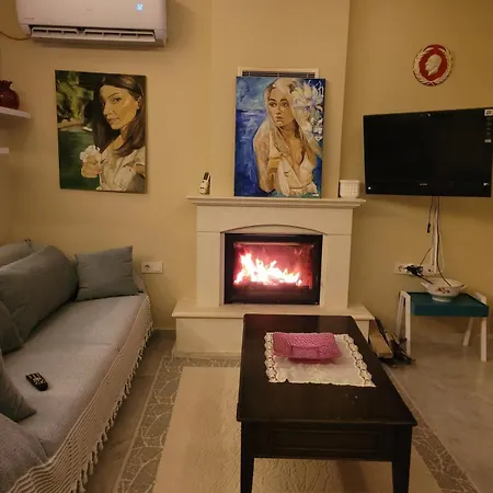 فيلة F Celik Villalari *